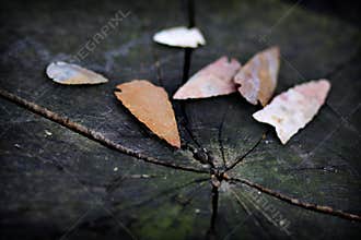 Native American arrowheads
