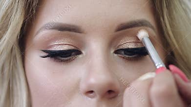 Makeup artist applying cosmetics on client`s face in salon