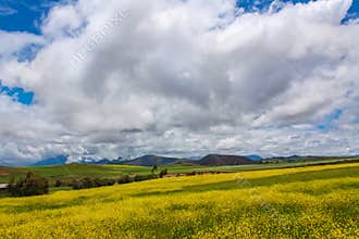Beautiful landscape of fields, meadows and mountains in Peru, South America