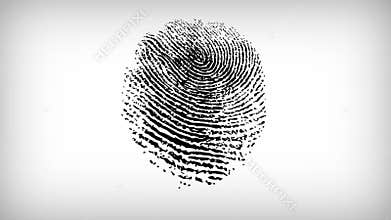 Various Fingerprints running on white background. 4K