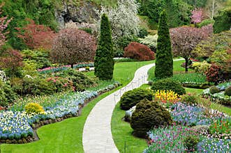 Spring garden view