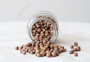 Allspice pepper