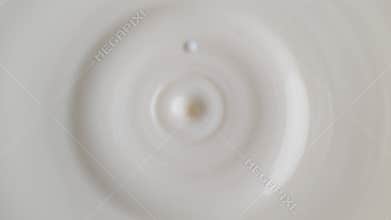Milk Drop Dripping onto the White Liquid Surface Making Crown and Circular Ripples