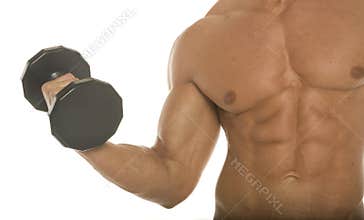 Body builder arm and chest