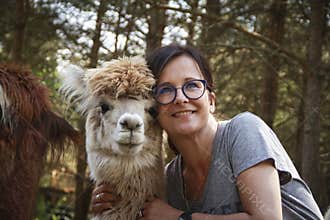 Brunette woman playing with cute alpacas at an eco farm in Poland