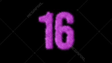 Pink furry number 16 with alpha channel, furry number, barbie