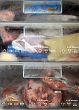Inside a cold freezer.