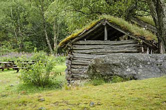 Scandinavian traditional house with green roof