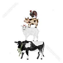 Watercolor illustration of a pyramid of domestic animals. Farm cow, pig, sheep and rooster stand on top of each other