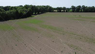 green meadows and dry fields in bavaria a sunny day Filmed in UHD 4k