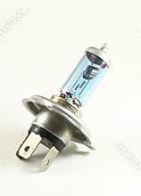 Car Headlight Bulb