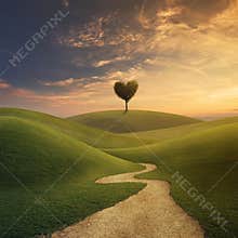 Tree heart on hill
