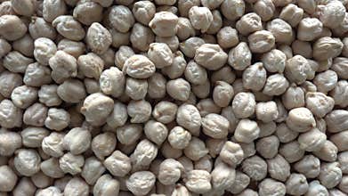 Dry chickpeas rotates as a background