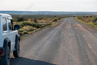 the jeep is driving down the road while the dog looks on