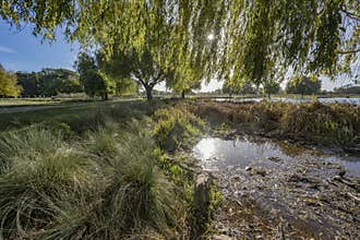 winter sun reflection in a pond