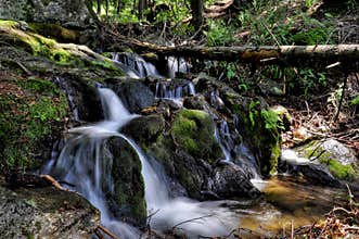 Sumava stream