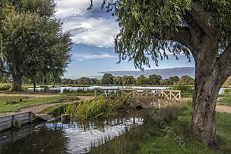Bridge deviding two ponds Bushy Park