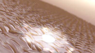 Cosmetics 3D Animation Serum combines with the cream