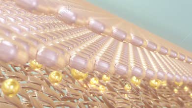 Magic Serum absorbs the skin layer and tightens up saggy skin cells