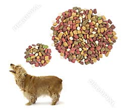 Dog food.