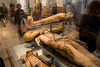 British Museum-mummies