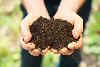 Soil in hands