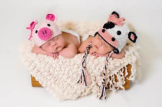 Newborn twin girls wearing pig and cow hats