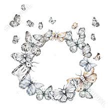 Black and white butterflies watercolor circle frame for text. Plants and wildlife illustration