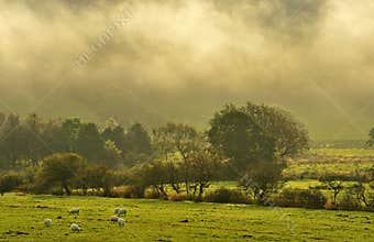 Morning mist, Caton Lancashire