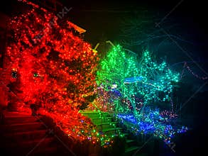 Colorful Red, Green and Blue Christmas Lights During January