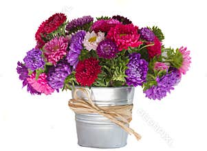 Bouquet of aster flowers in vase