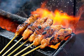 Delicious Asian Cuisine, Malaysia Chicken Satay