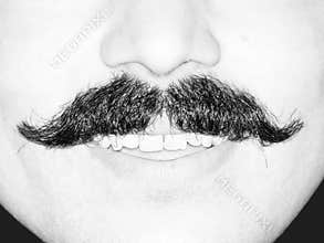 Young Man's Moustache