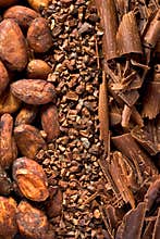 Cocoa