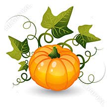 Pumpkin with leaves