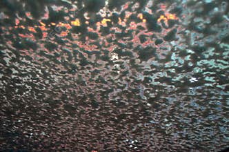 Abstract Rain-Covered Glass with Reflected Sunset Colors