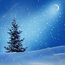 Winter night