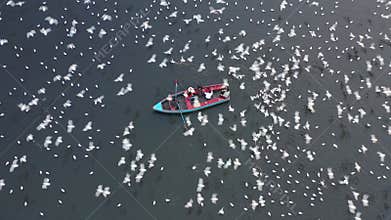 Aerial video of people feeding birds on a fishing boat along the Yamuna river in New Delhi, India.