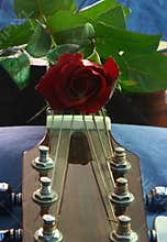 Love of music 5