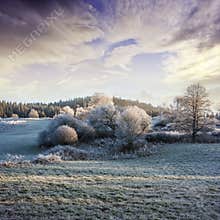 A winter morning with a beautiful sunrise
