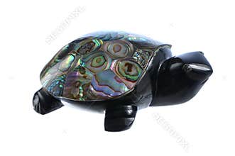 Abalone shell turtle