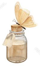 Bottle with butterfly. Hand drawn watercolor illustration of glass flacon with liquid aromatic essential oil on isolated