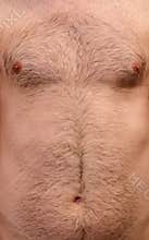 Hairy skin background