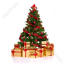 Christmas tree.
