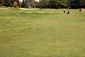 Golf Course - Luxury International Standard