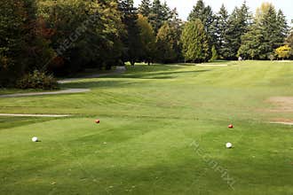 Golf Course - Luxury International Standard