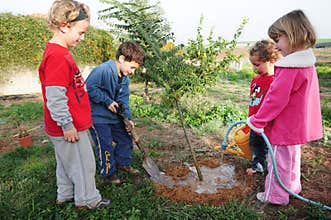 Israeli Children Celebrating Tu Bishvat Jewish Holiday Food