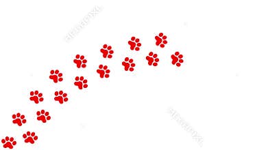Animated cat red tracks. A cat\'s paw print appears take turns in a row. Looped video.