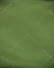 Green canvas textured background