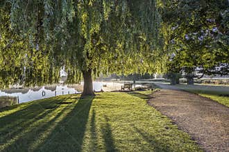Very bright morning light over Bushy Park ponds